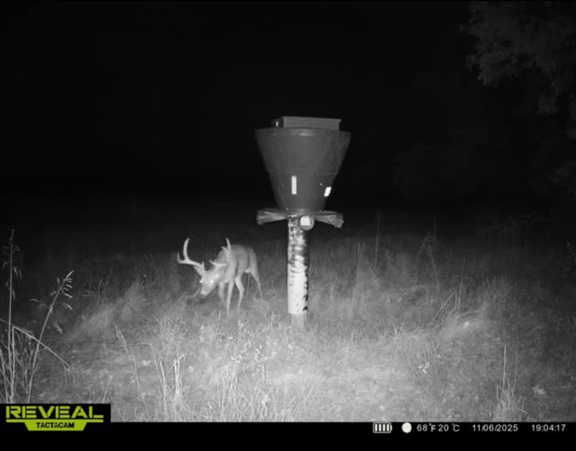 Catcher Ranch: 785 ± Acre Conservation Ranch & Trophy Whitetail Hunting Property Near Stuart, Oklahoma