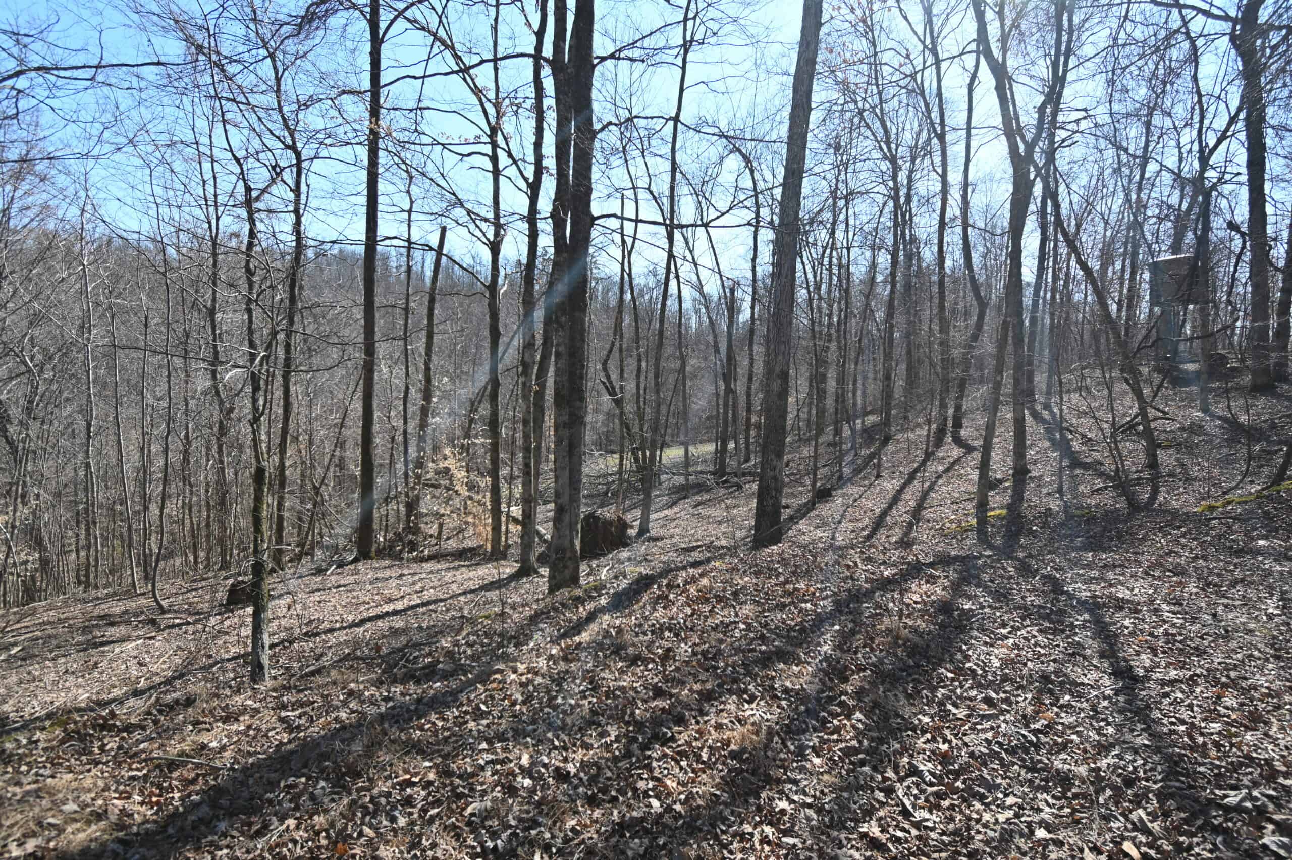 107.63 Acres For Sale in Middle Tennessee!