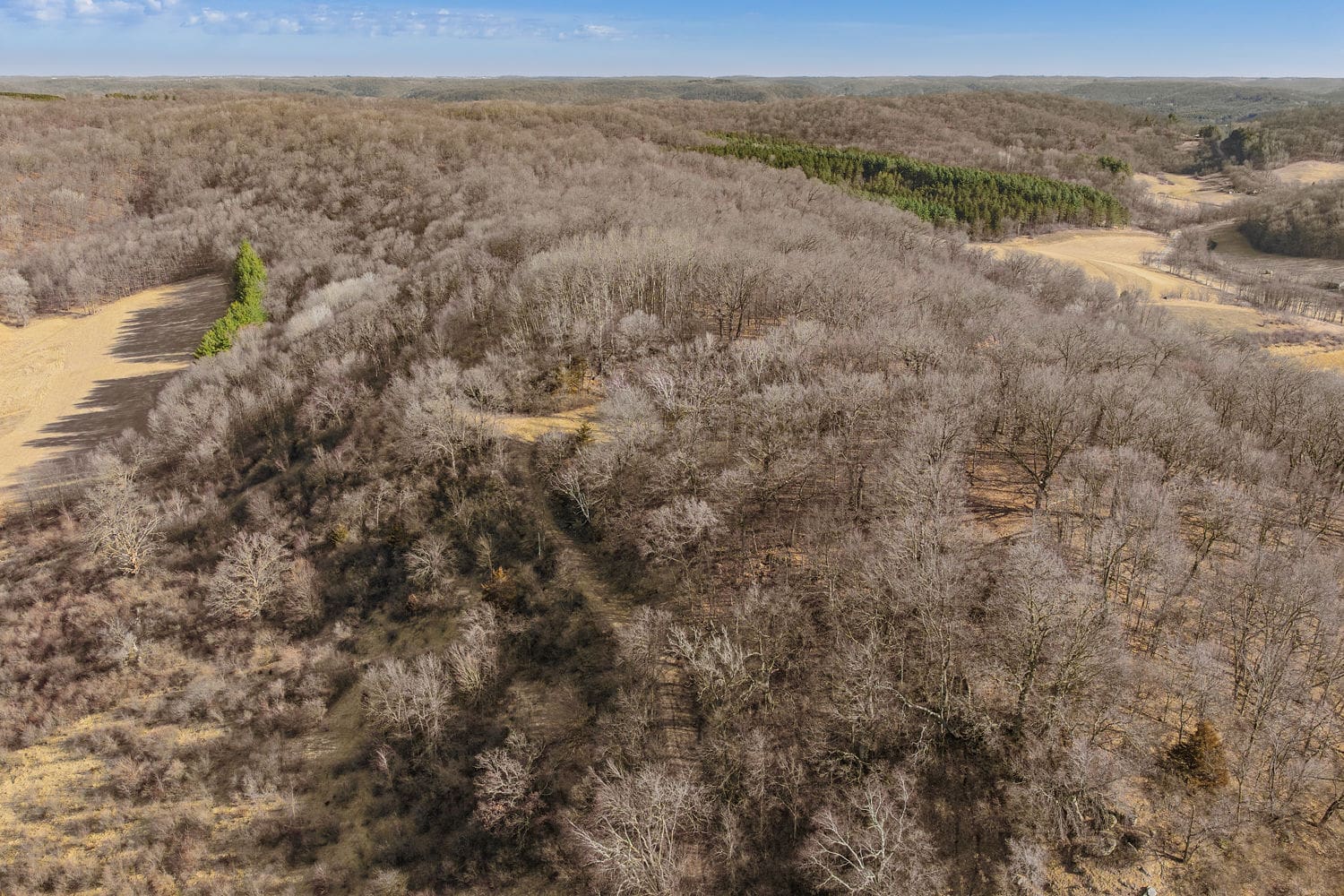 50 Acre Recreational -Hunting Land For Sale Richland County WI