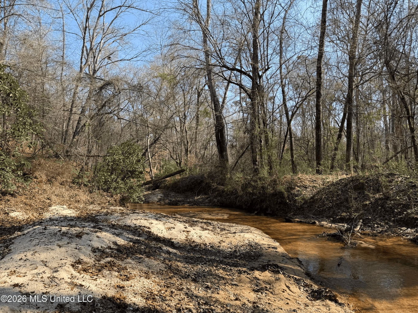 Land for Sale in Simpson County