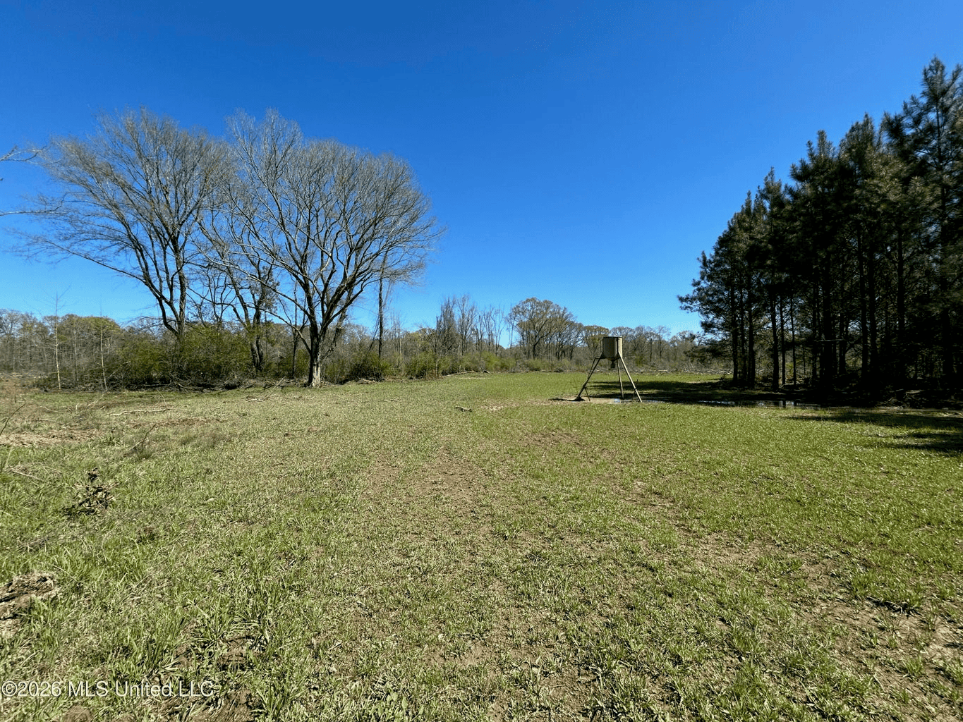 123± Acres Centreville MS on Chance Rd Amite County