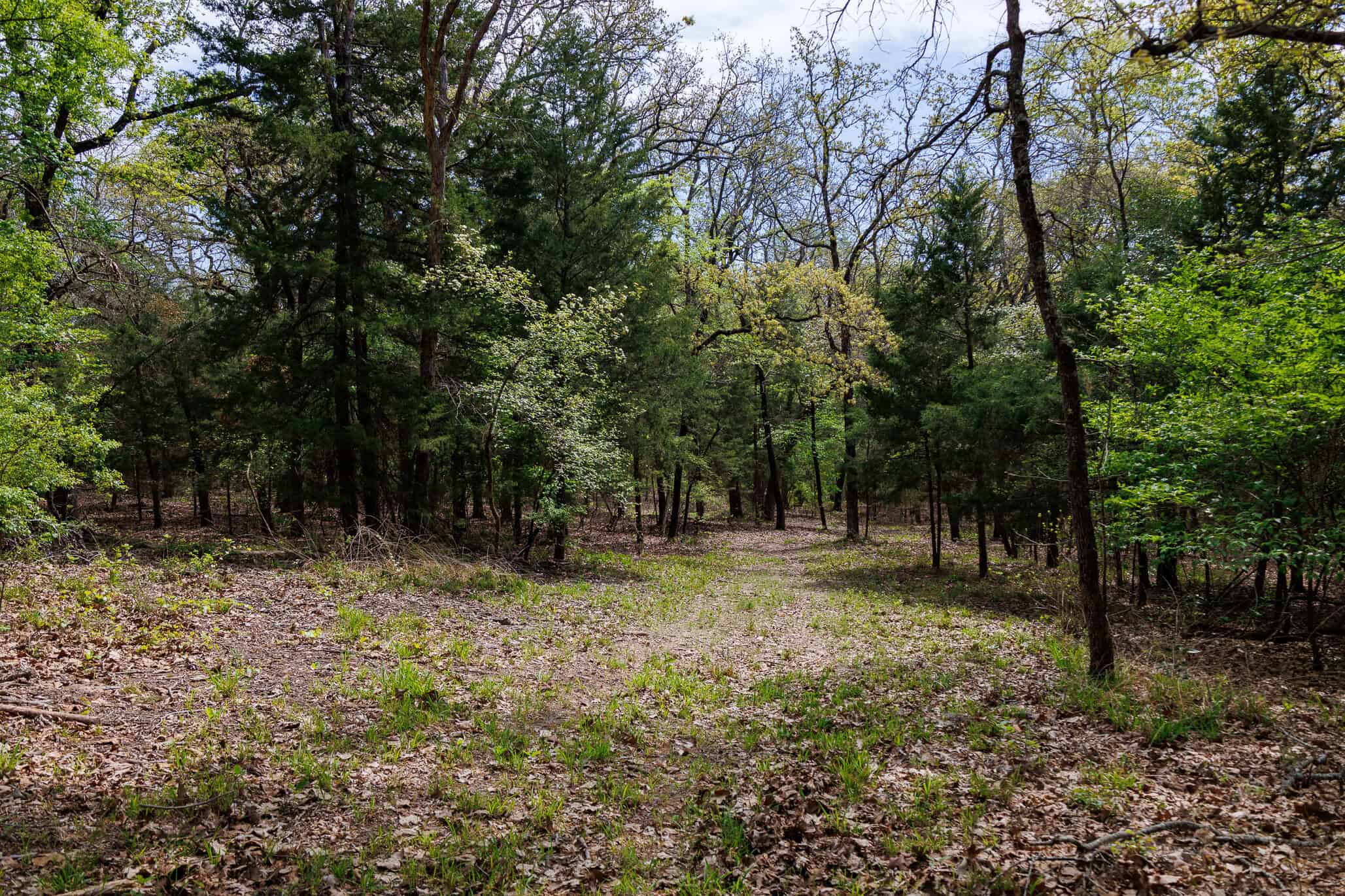 East Texas Recreational Ranch Near Ben Wheeler in Van Zandt County