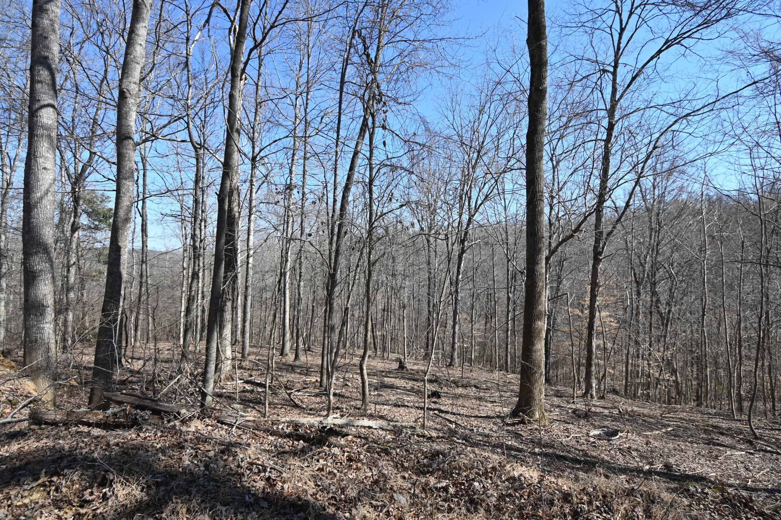 107.63 Acres For Sale in Middle Tennessee!