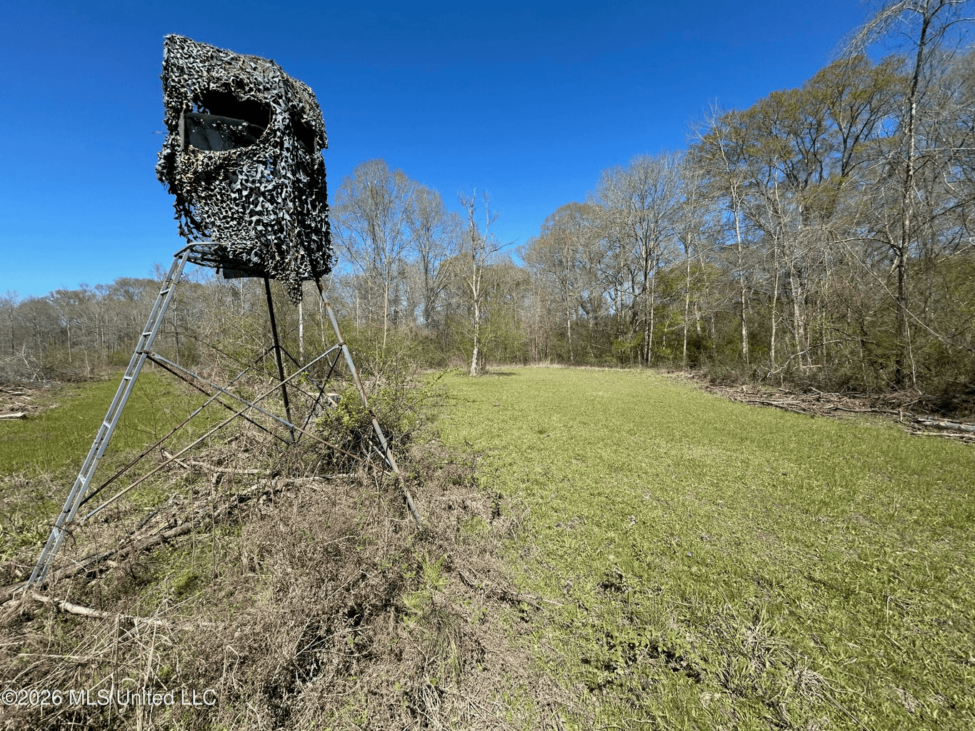 123± Acres Centreville MS on Chance Rd Amite County