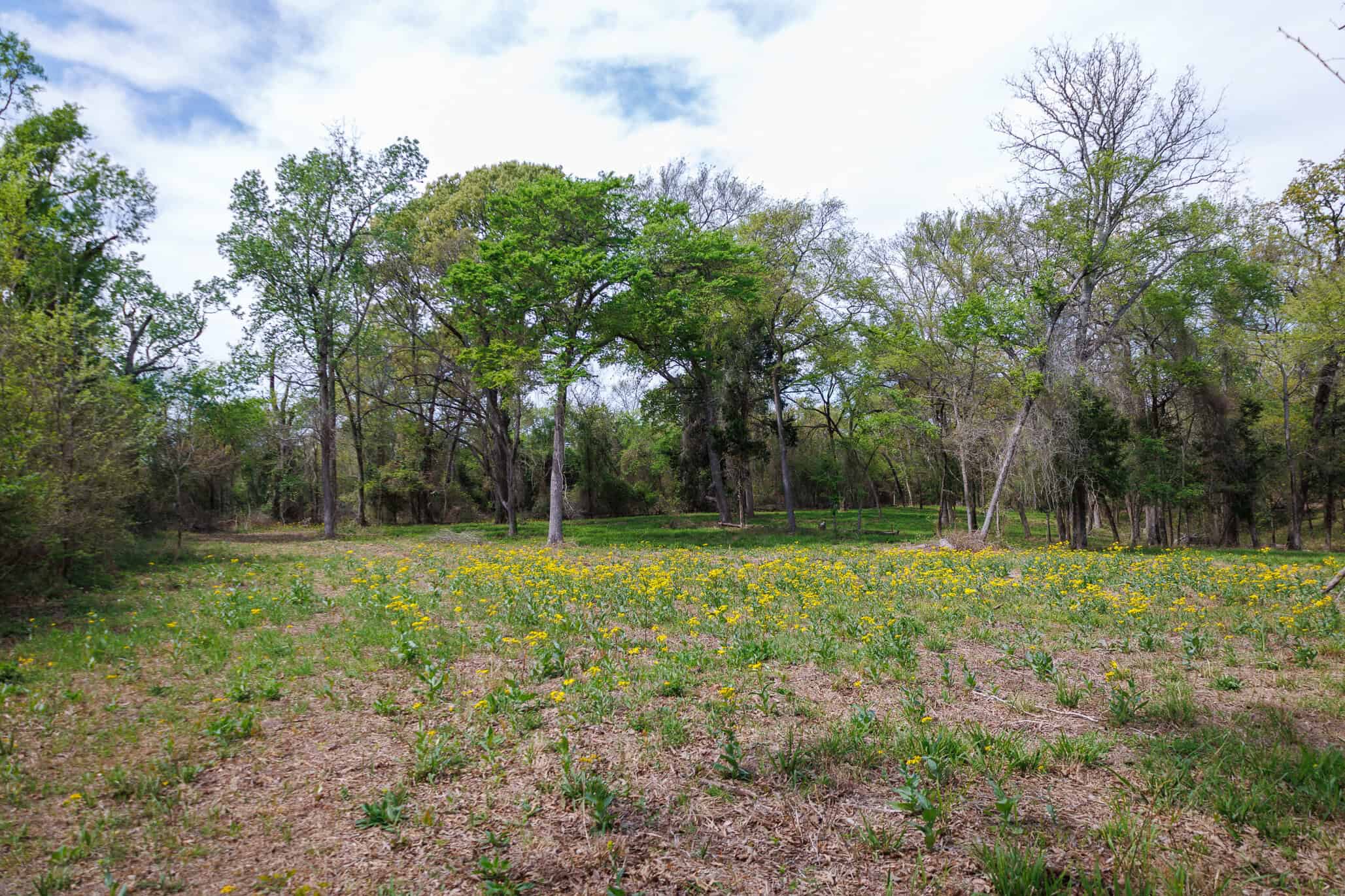 East Texas Recreational Ranch Near Ben Wheeler in Van Zandt County