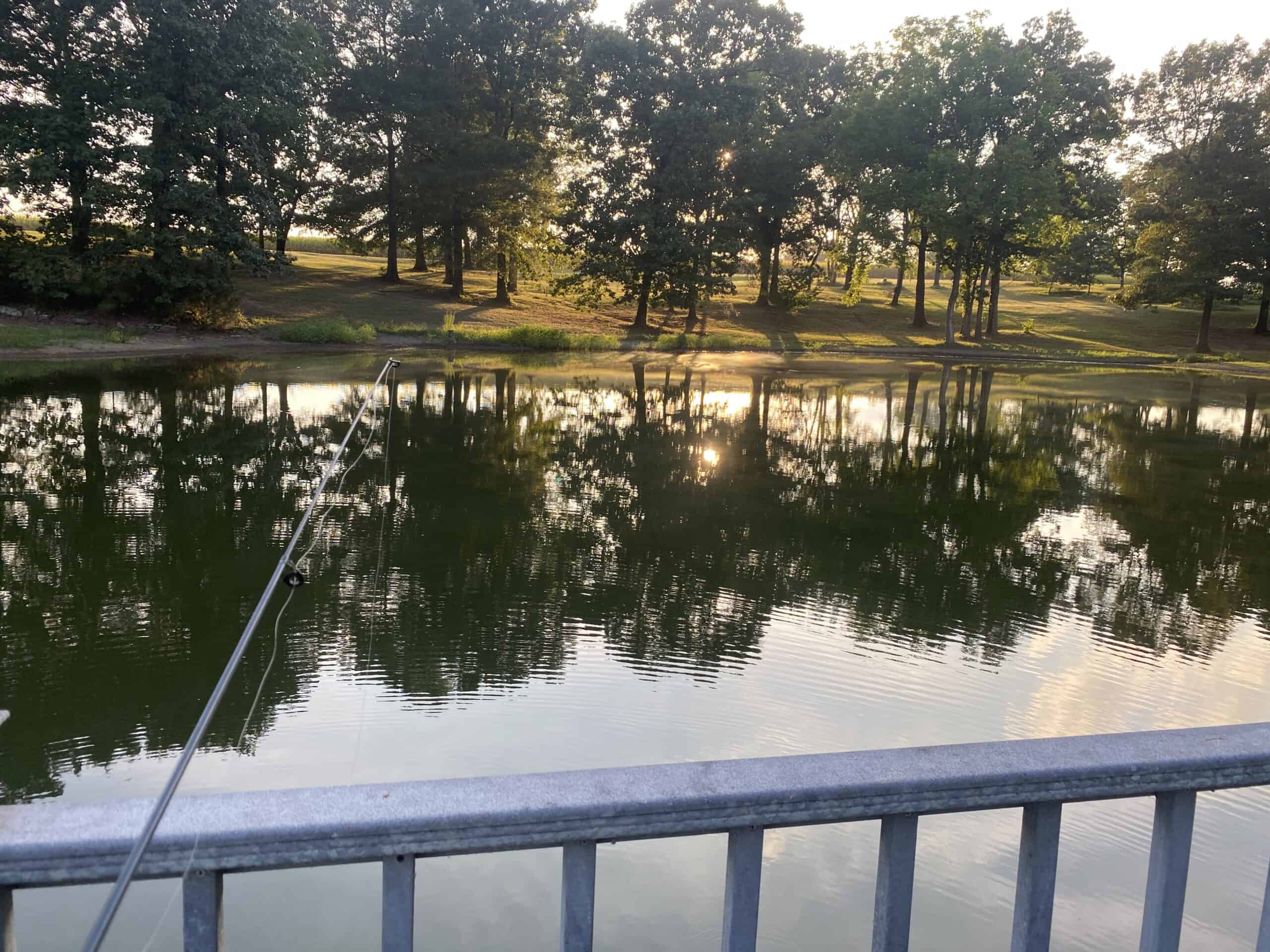 300 ACRE+/- PRIVATE ESTATE FOR SALE IN TN, 2 HOMES, LAKE