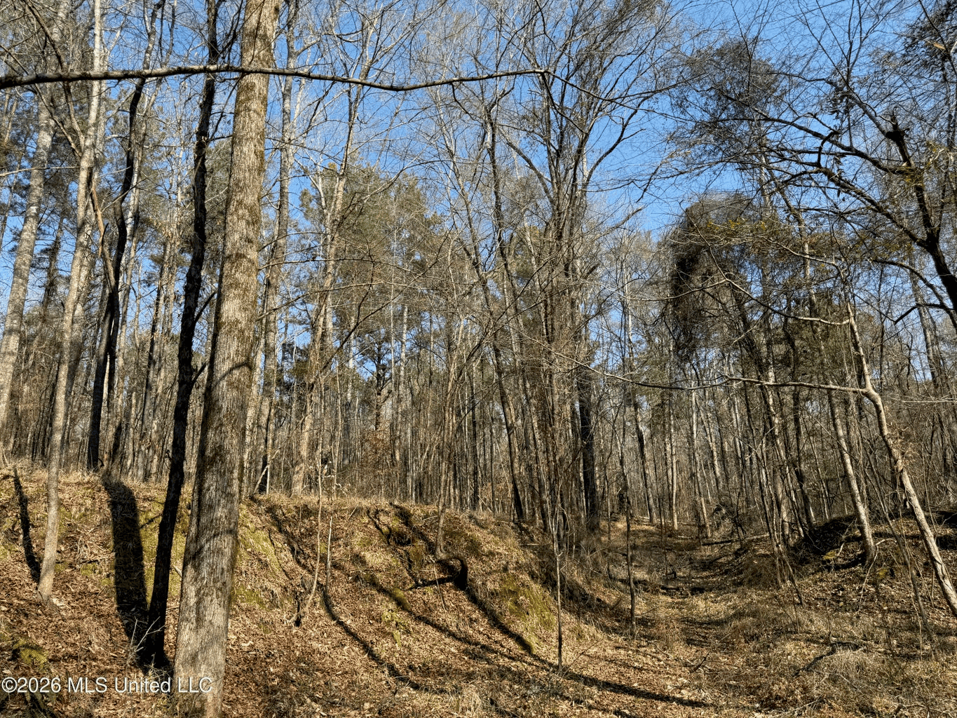 Land for Sale in Simpson County