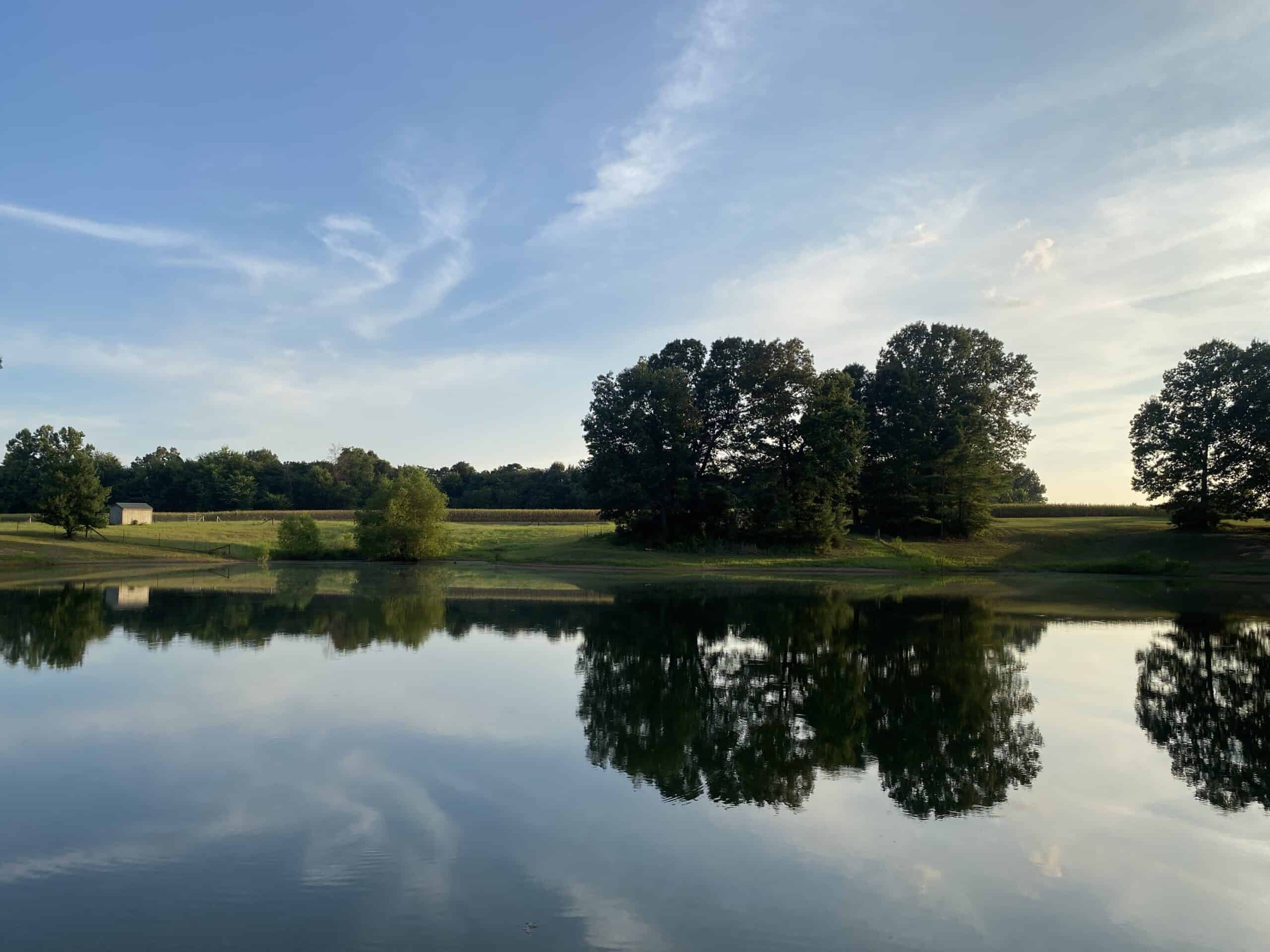 300 ACRE+/- PRIVATE ESTATE FOR SALE IN TN, 2 HOMES, LAKE