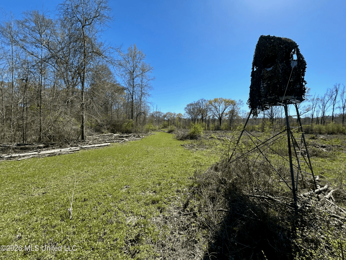 123± Acres Centreville MS on Chance Rd Amite County