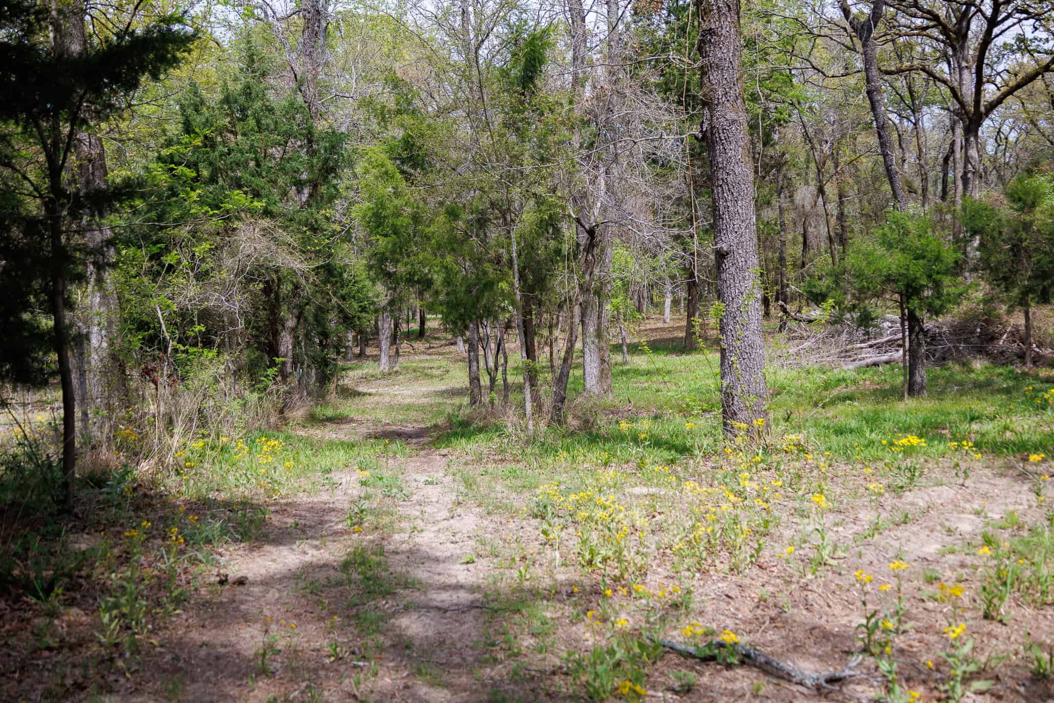 East Texas Recreational Ranch Near Ben Wheeler in Van Zandt County