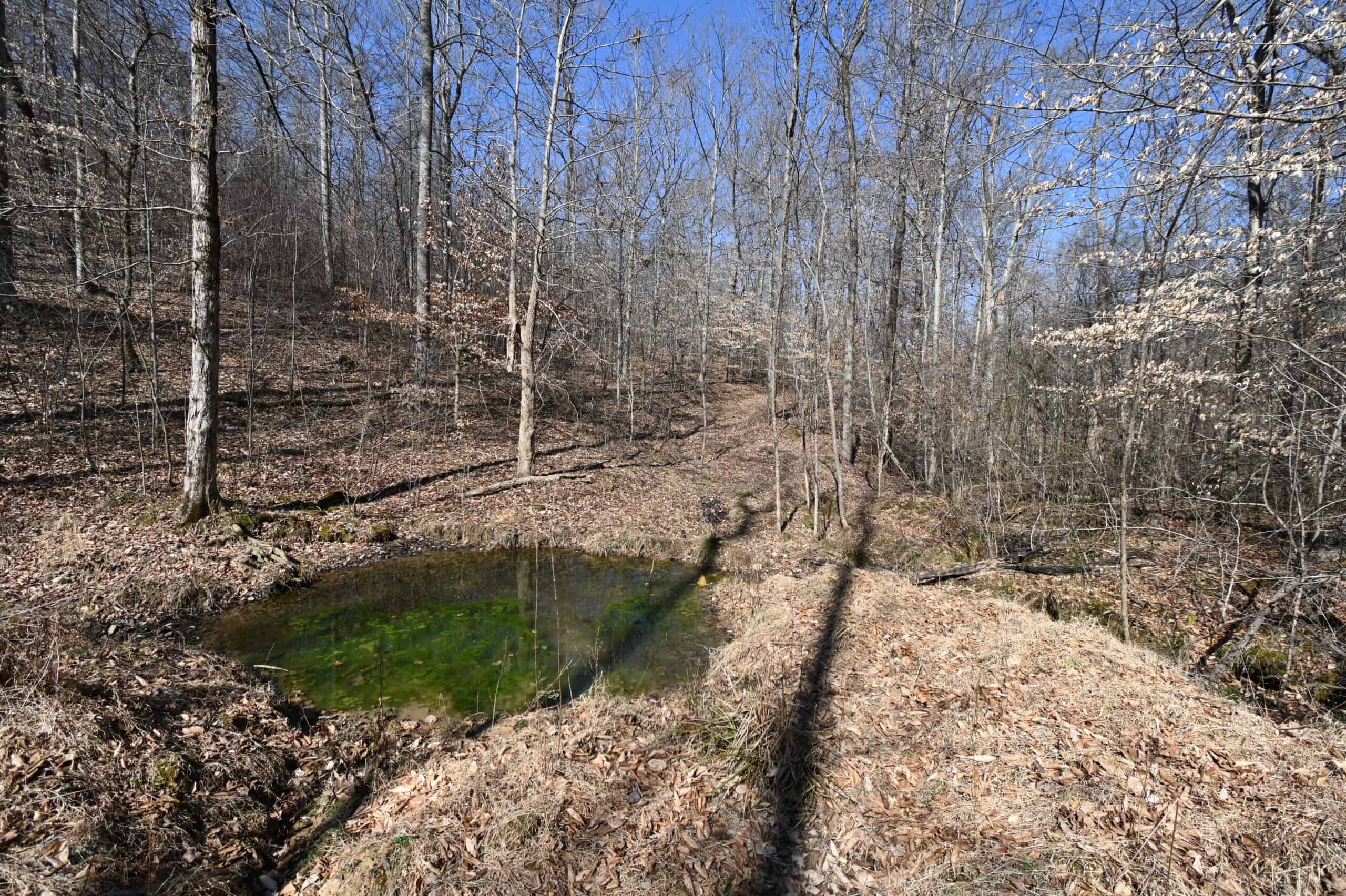 107.63 Acres For Sale in Middle Tennessee!