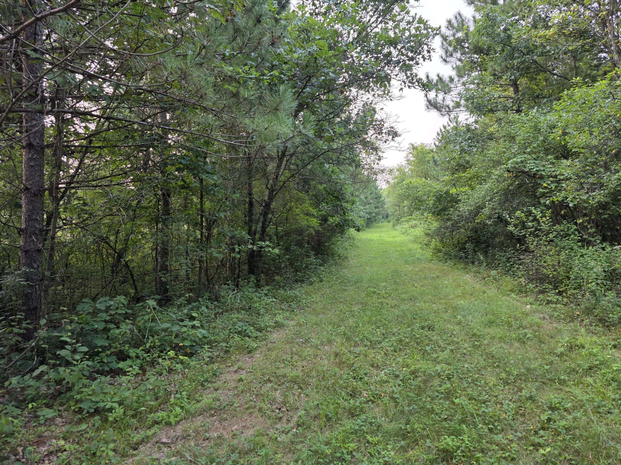 160± acre Monroe County property Located off dead end road,