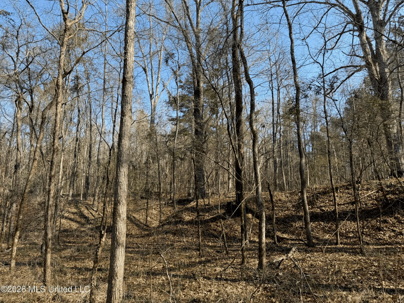 Land for Sale in Simpson County