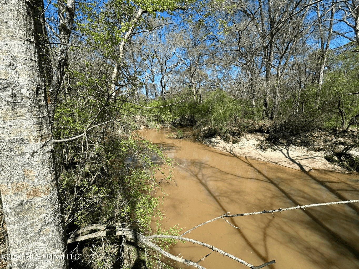123± Acres Centreville MS on Chance Rd Amite County