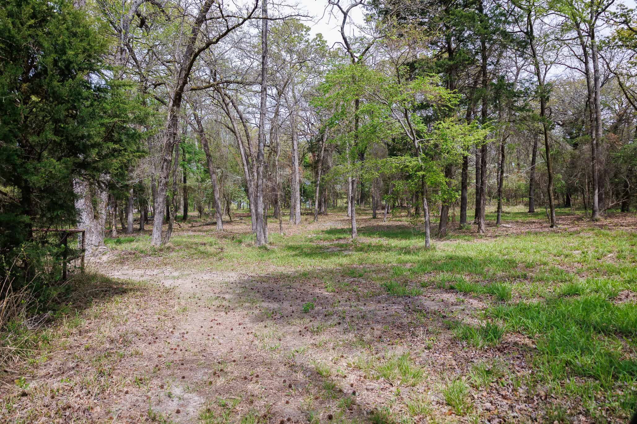 East Texas Recreational Ranch Near Ben Wheeler in Van Zandt County