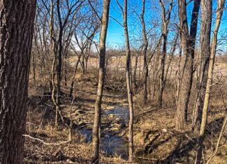 19± Acres of Land for Sale in Daviess County, Missouri