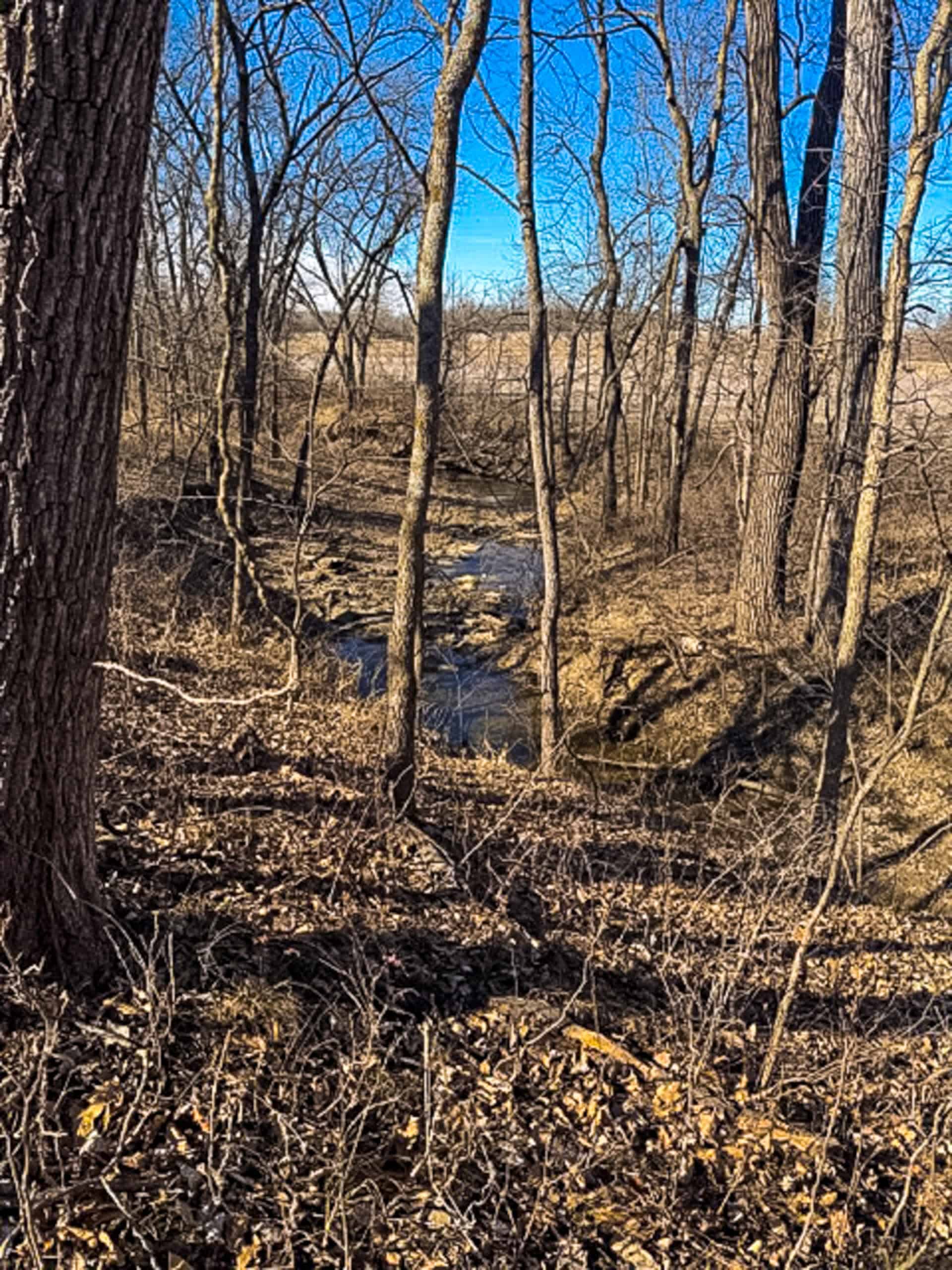 19± Acres of Land for Sale in Daviess County, Missouri