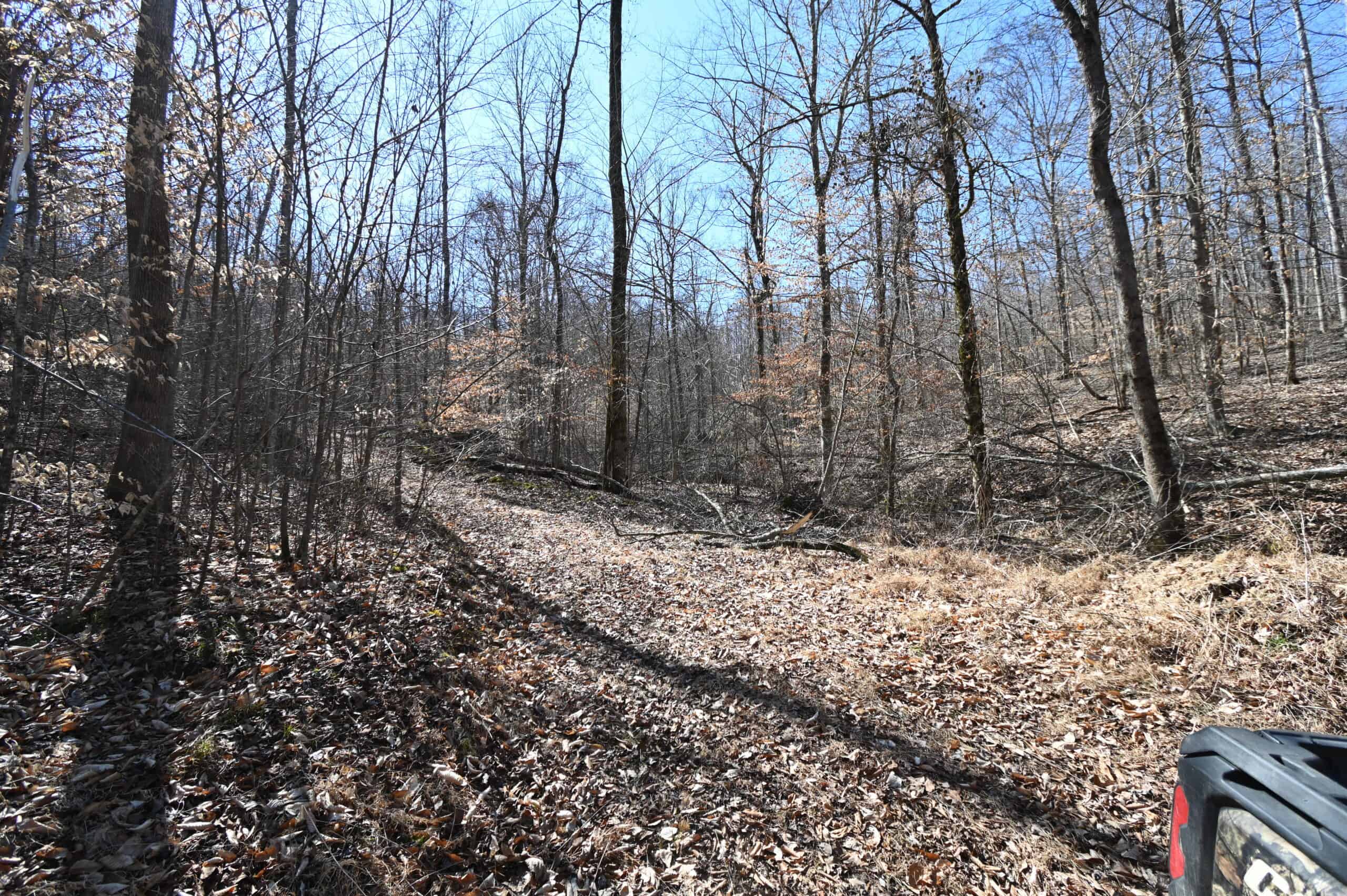 107.63 Acres For Sale in Middle Tennessee!