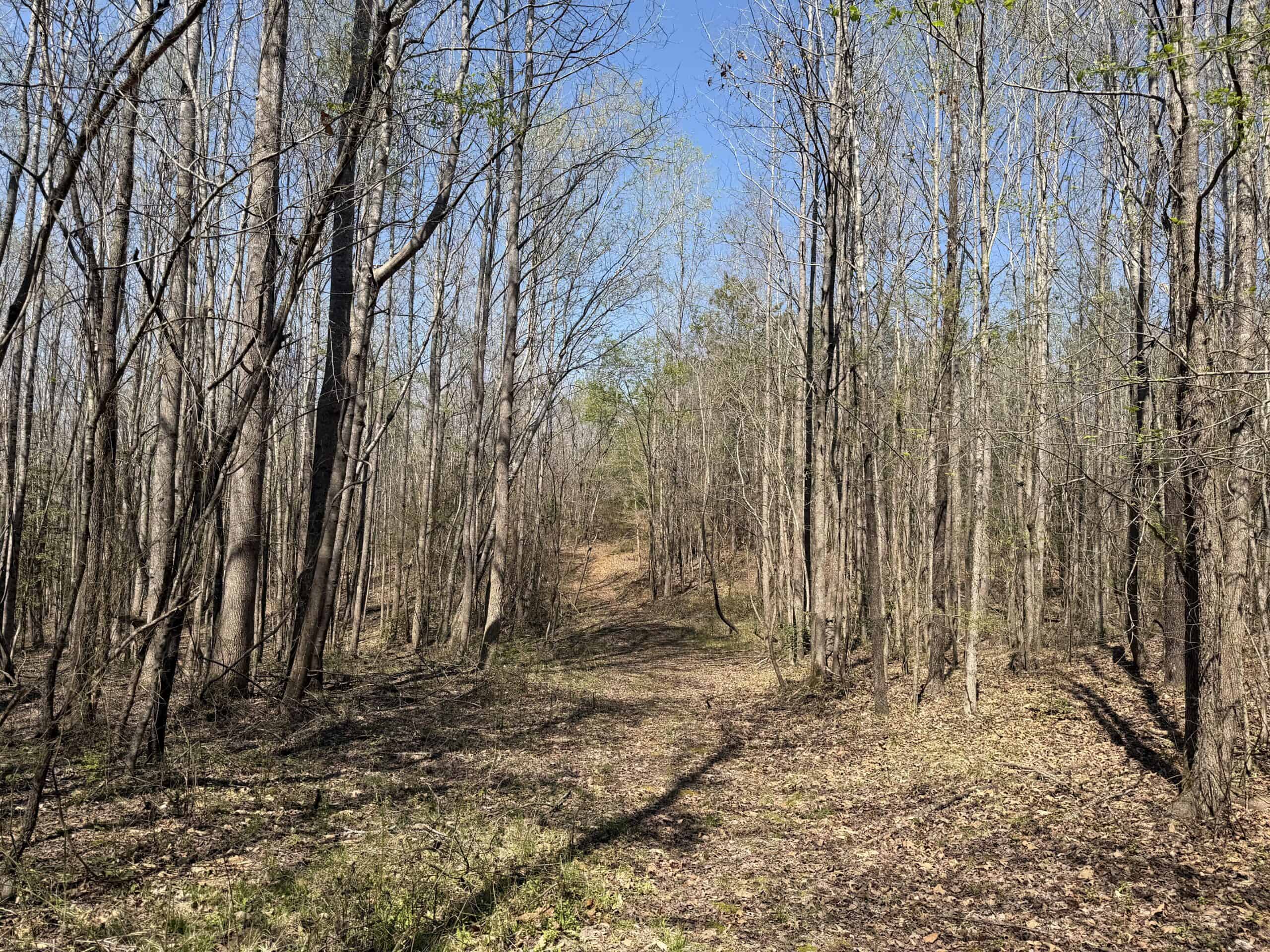 CABIN FOR SALE IN TN, HUNTING, STORAGE, SHELTER, WOODED