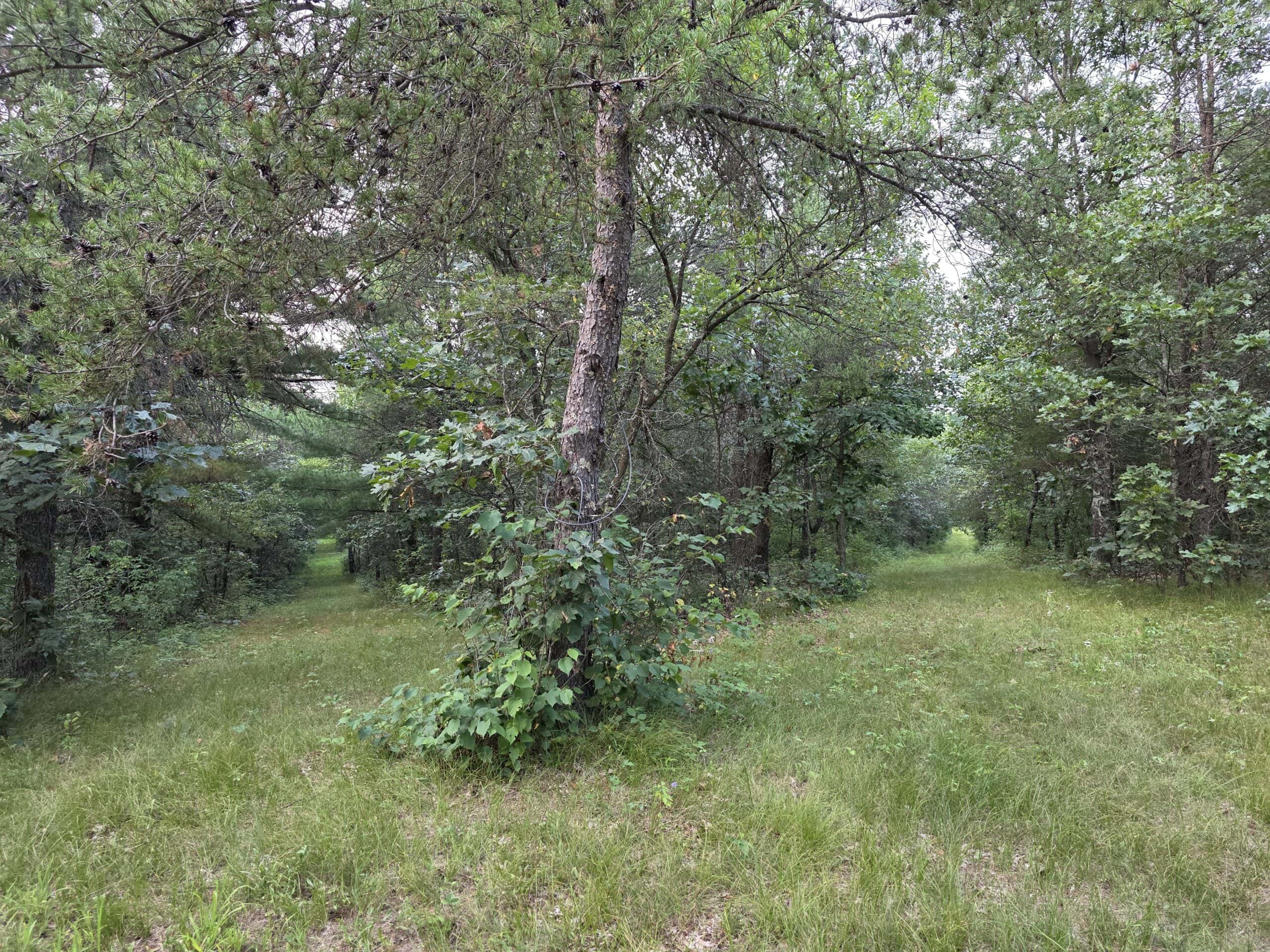 160± acre Monroe County property Located off dead end road,