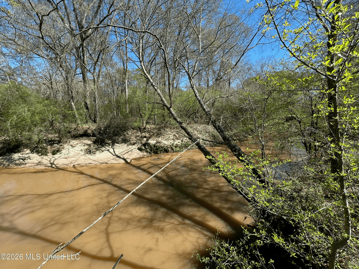 123± Acres Centreville MS on Chance Rd Amite County