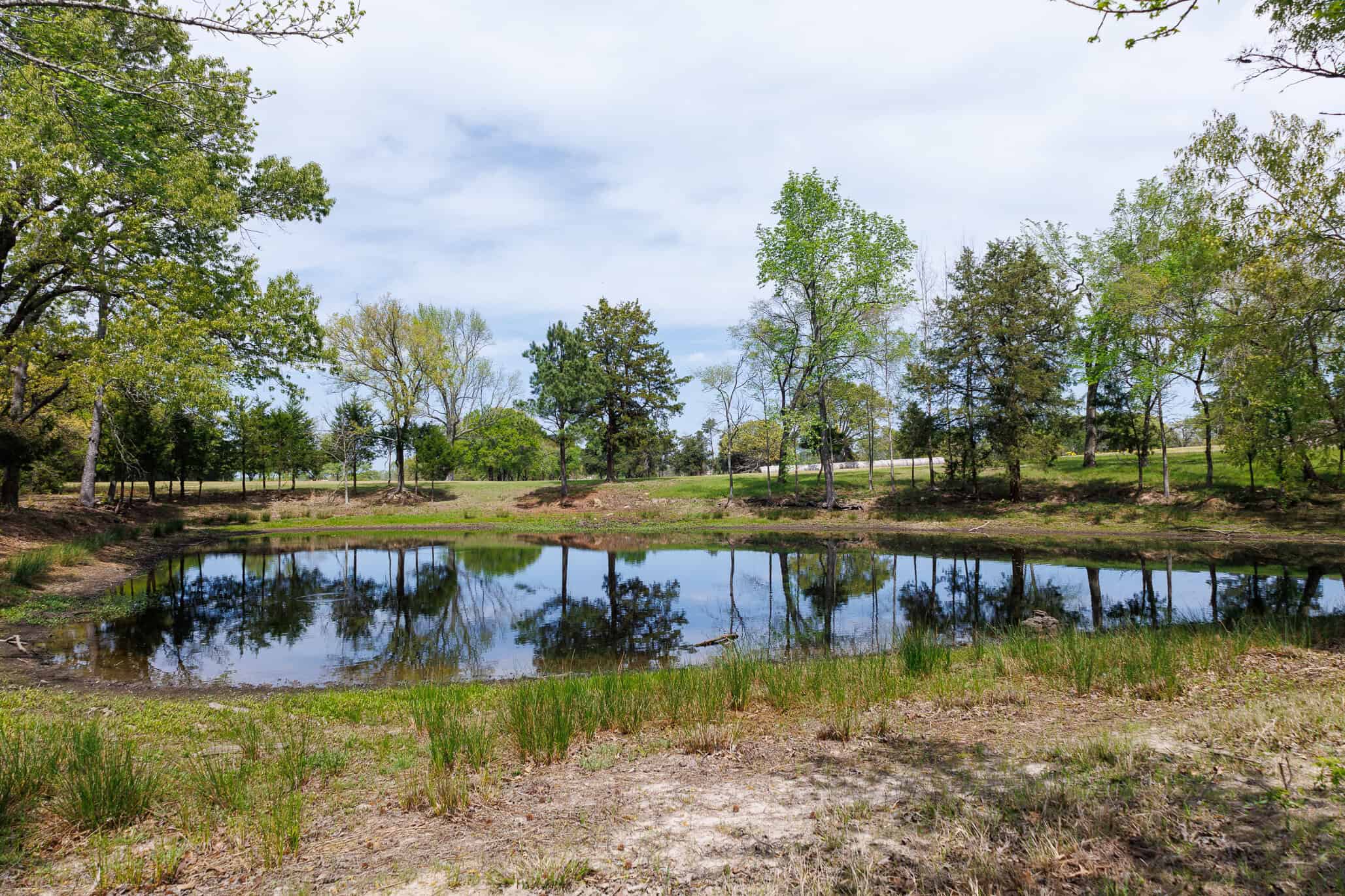 East Texas Recreational Ranch Near Ben Wheeler in Van Zandt County
