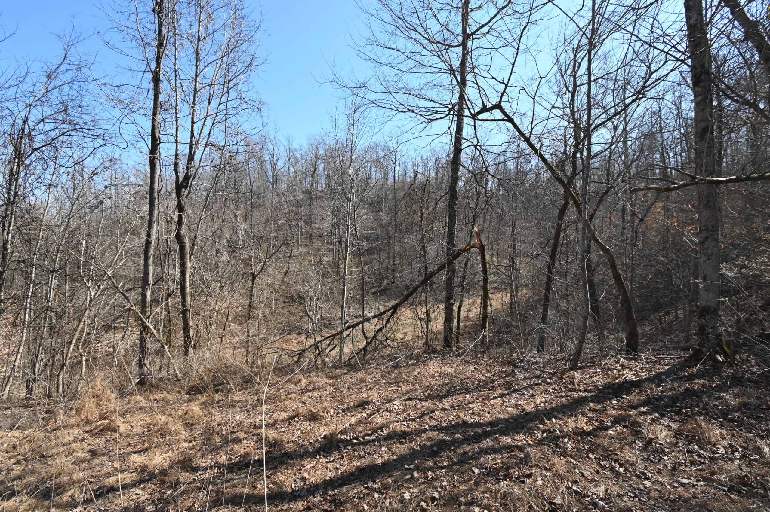 107.63 Acres For Sale in Middle Tennessee!