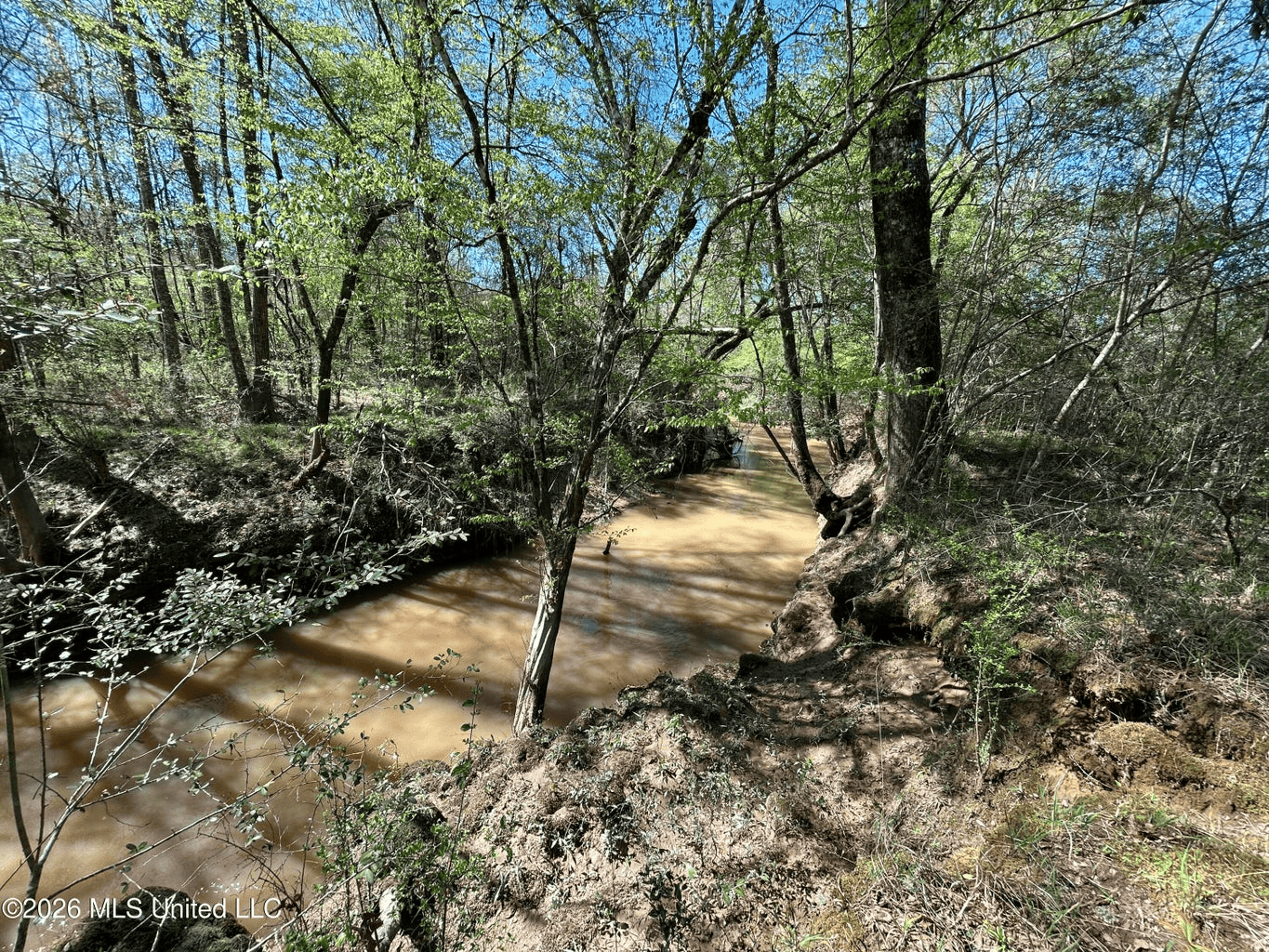 123± Acres Centreville MS on Chance Rd Amite County