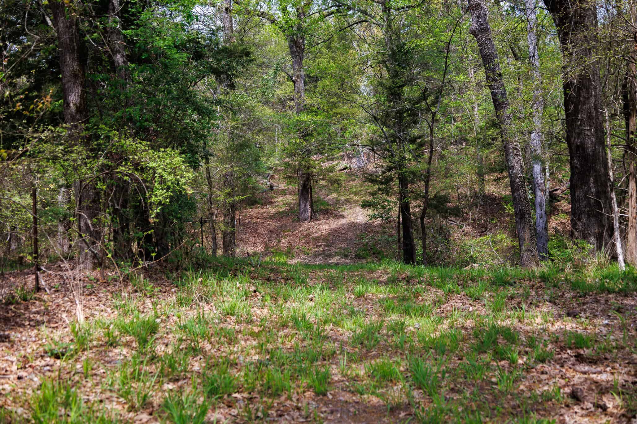 East Texas Recreational Ranch Near Ben Wheeler in Van Zandt County