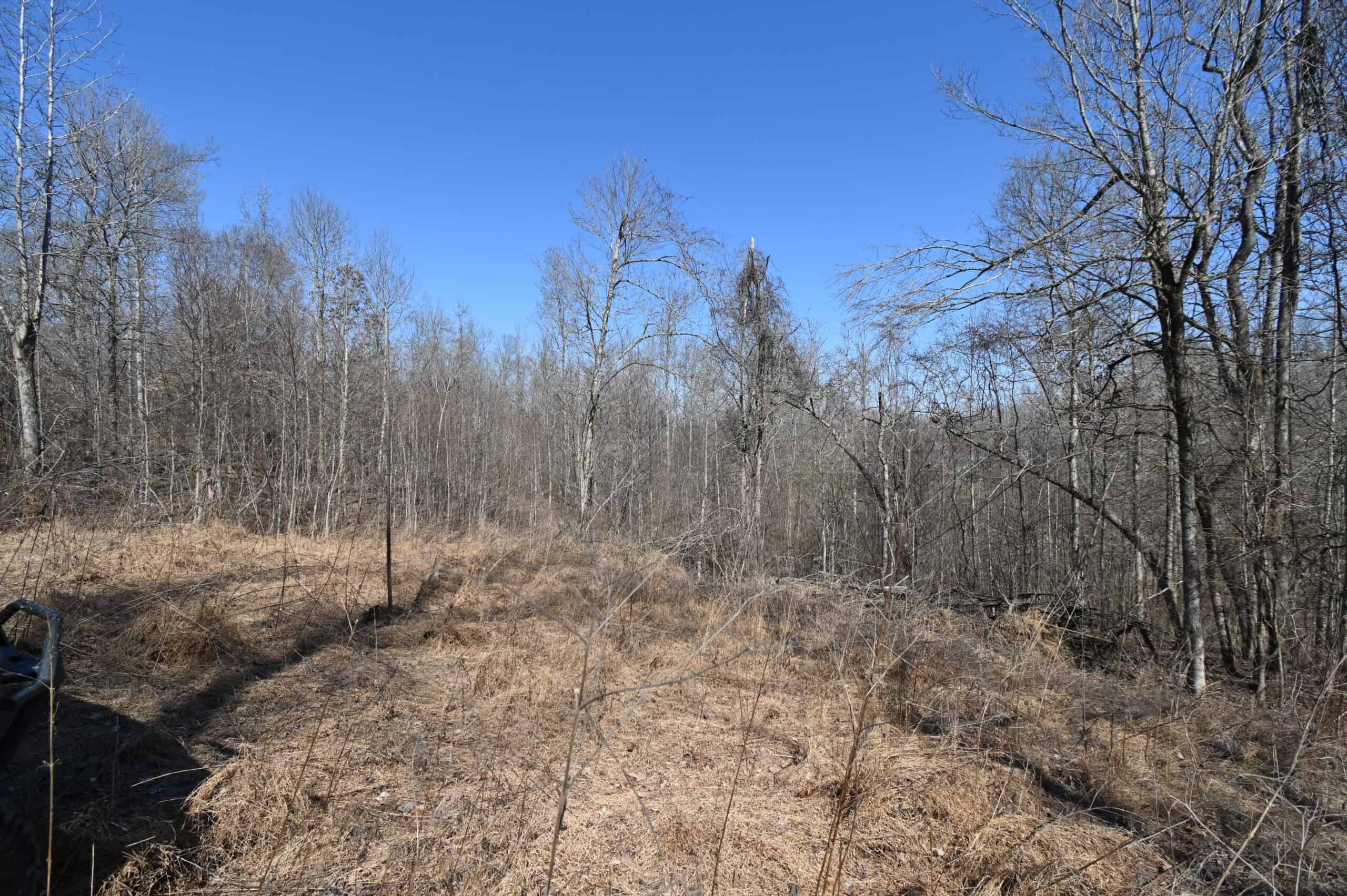 107.63 Acres For Sale in Middle Tennessee!
