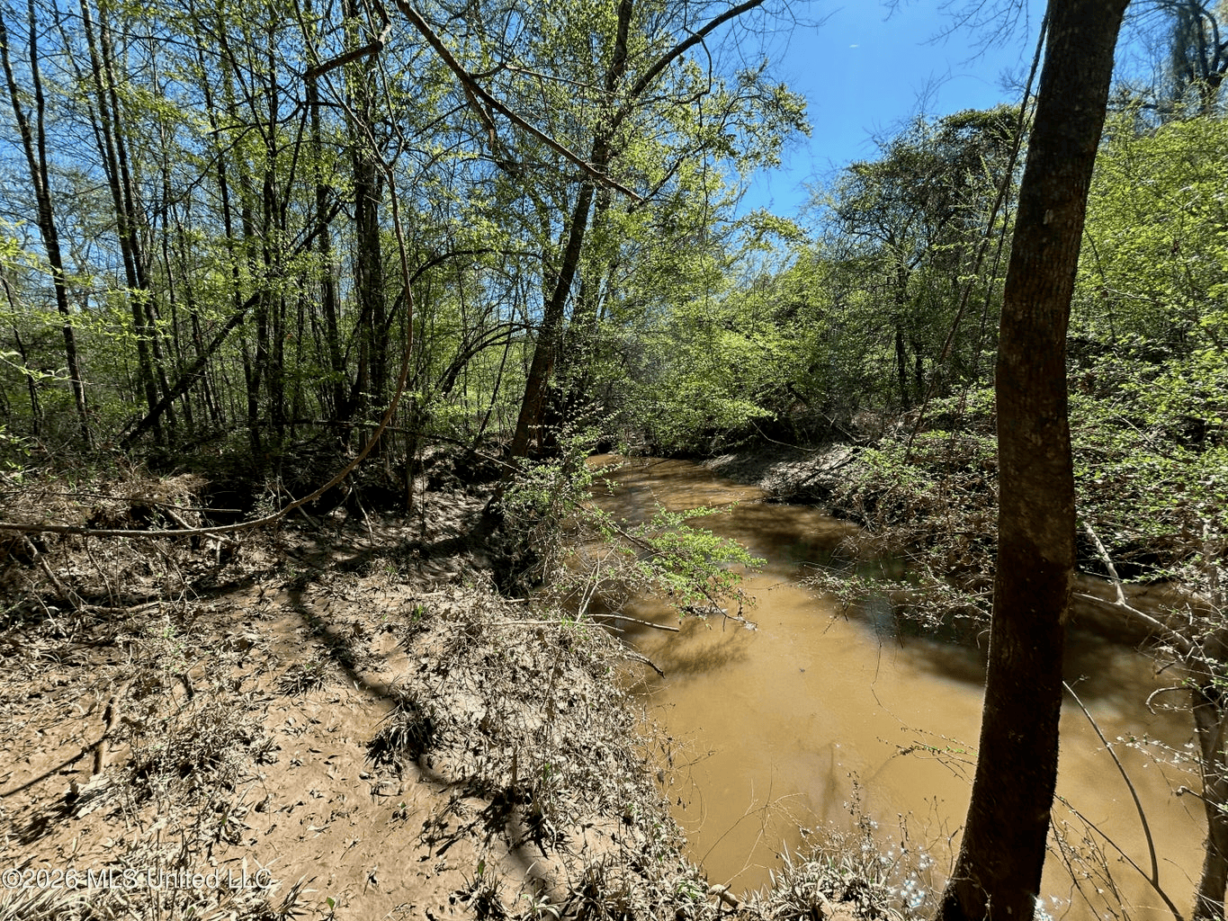 123± Acres Centreville MS on Chance Rd Amite County