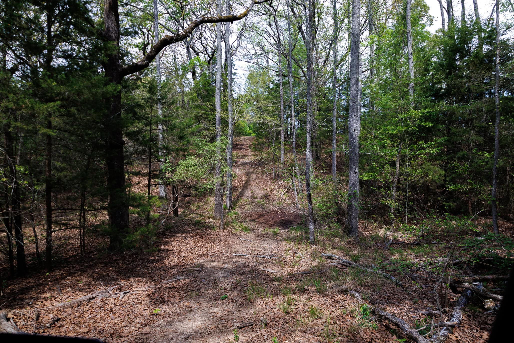 East Texas Recreational Ranch Near Ben Wheeler in Van Zandt County