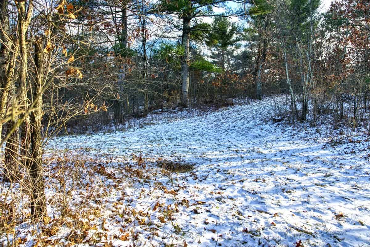 1565 Hwy 71 – Sparta, Wisconsin | 126.25± Acres | Monroe County