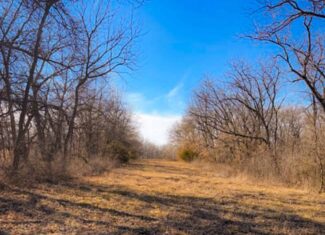 19± Acres of Land for Sale in Daviess County, Missouri