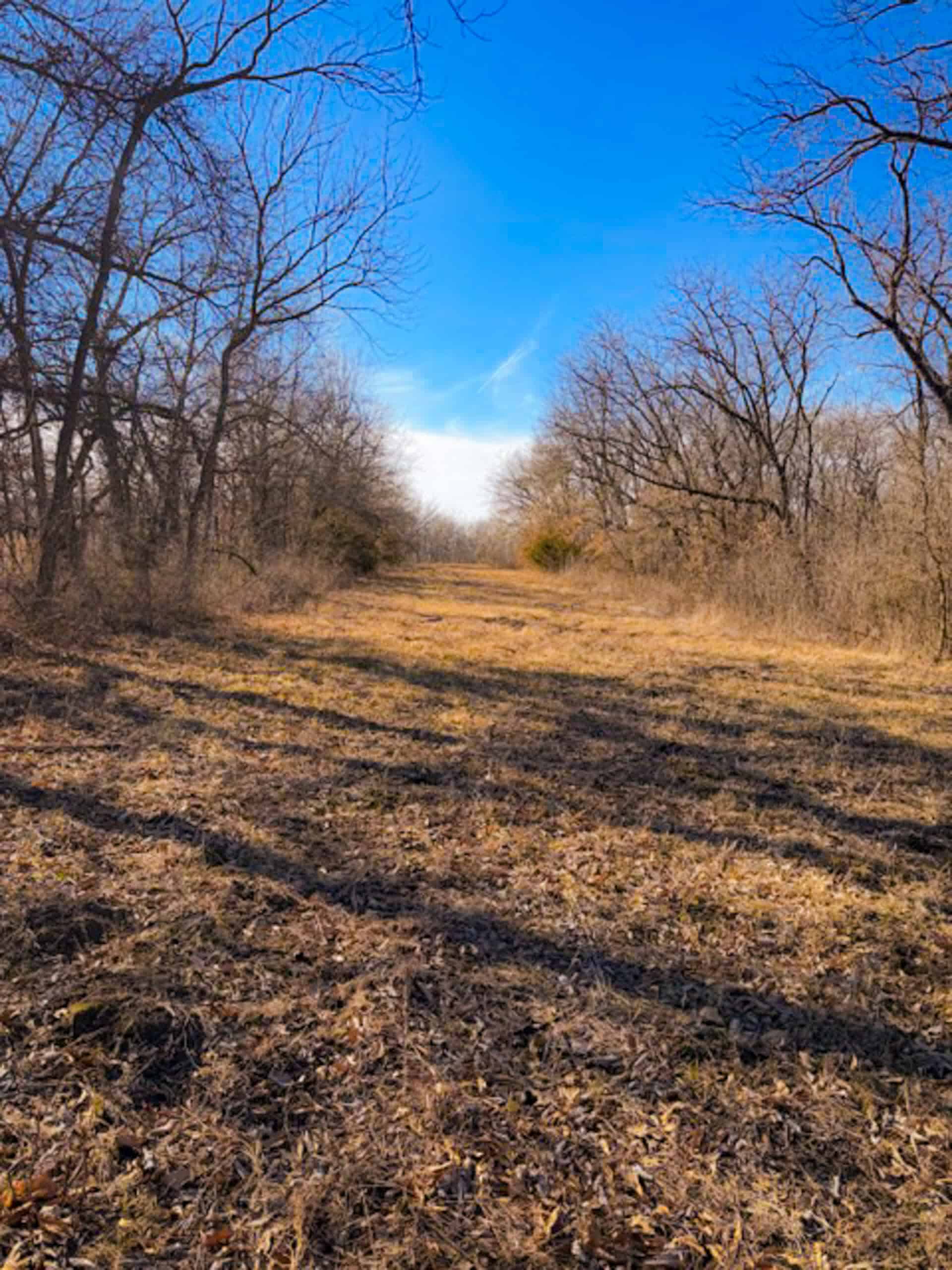 19± Acres of Land for Sale in Daviess County, Missouri