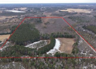 Portage County Wisconsin 80 Acres of Hunting Land for Sale