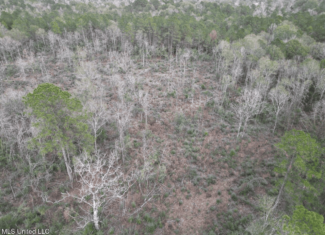 36 Acres in Pike County, Mississippi – Scenic Rural Retreat