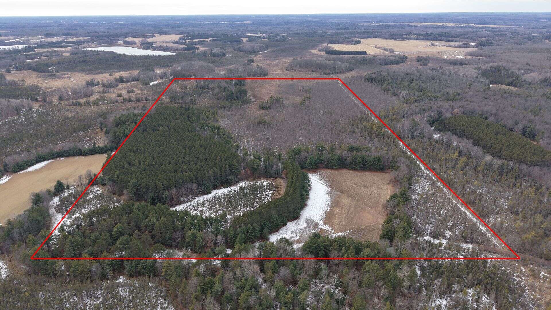 Portage County Wisconsin 80 Acres of Hunting Land for Sale
