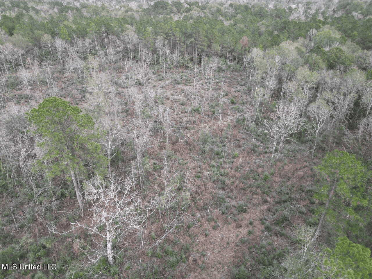 36 Acres in Pike County, Mississippi – Scenic Rural Retreat