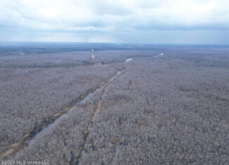 431± Acres with Calcasieu River Frontage in Calcasieu Parish