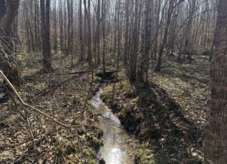 LAND & HOME FOR SALE IN TN, BASEMENT, WELL, CREEK, WOODED
