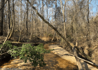 Land for Sale in Simpson County