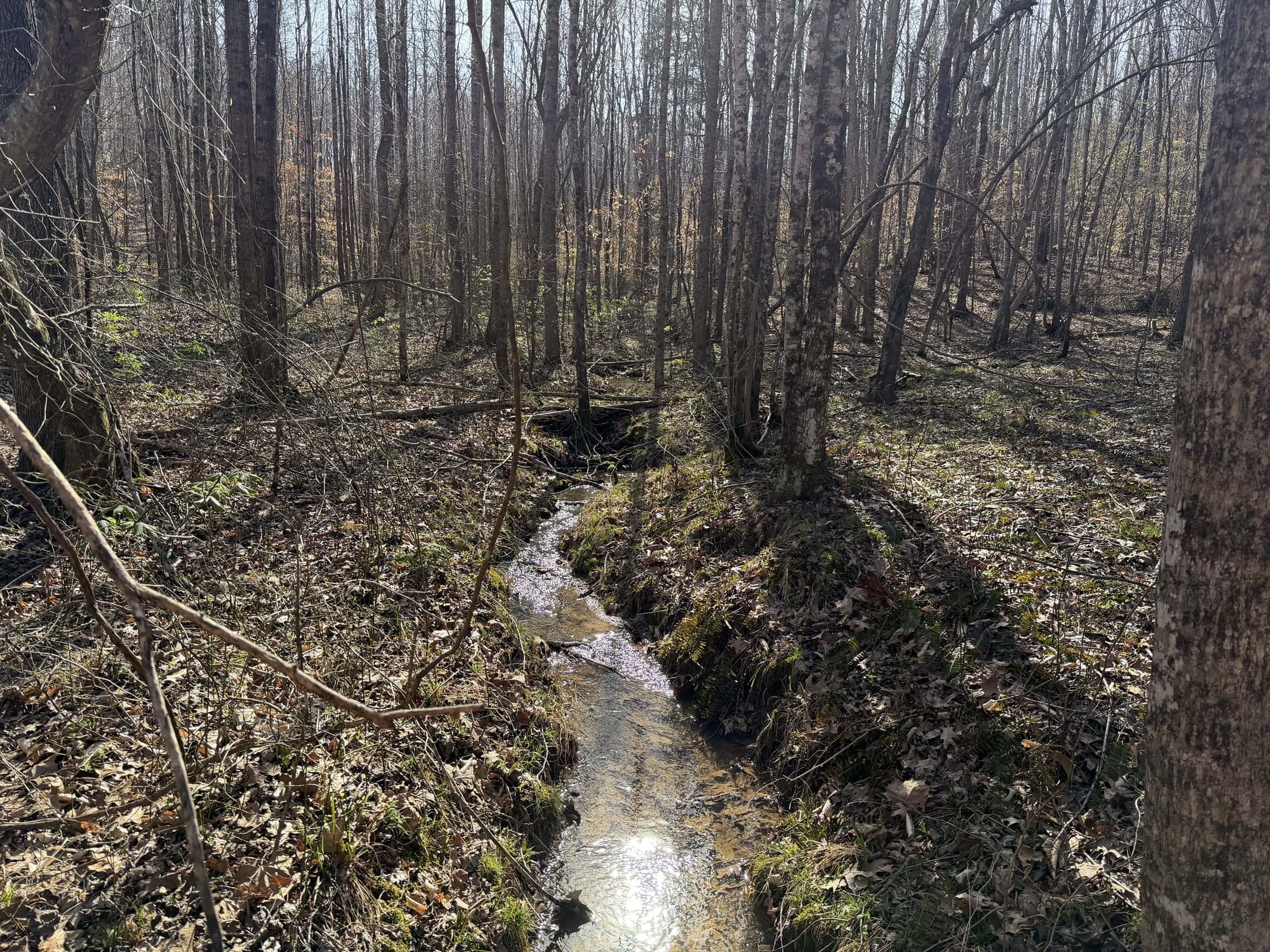 LAND & HOME FOR SALE IN TN, BASEMENT, WELL, CREEK, WOODED
