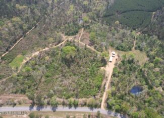 30± Acres in Jefferson County, MS Near Homochitto NF Hunting