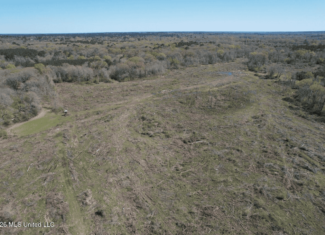 123± Acres Centreville MS on Chance Rd Amite County