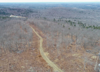 Expansive Mountain-View Acreage with Timber Value & Road Frontage