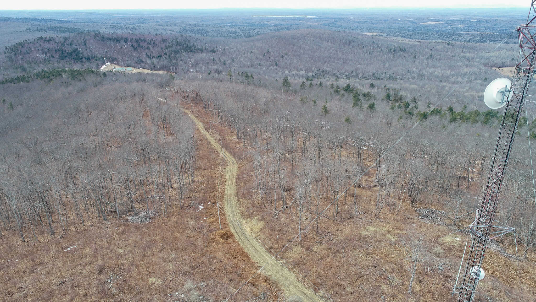 Expansive Mountain-View Acreage with Timber Value & Road Frontage