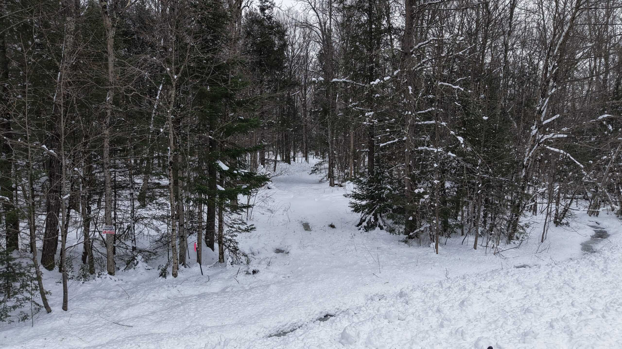 43+/-  Acre Marathon County Hunting, Timber and Rec Tract For Sale