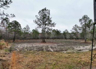 This 38 acres offers a hunting retreat or recreational getaway in Worth Cty GA