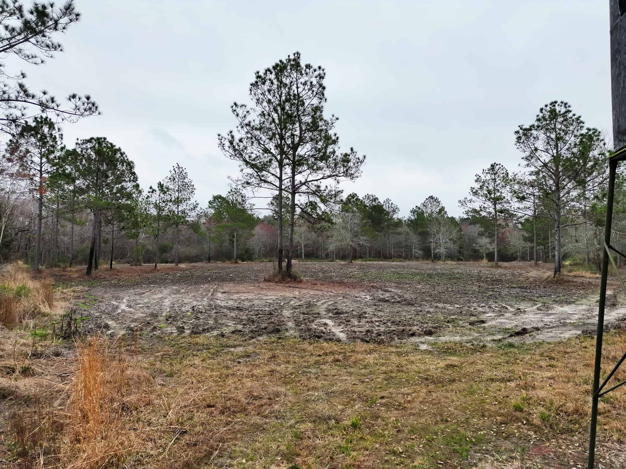 This 38 acres offers a hunting retreat or recreational getaway in Worth Cty GA